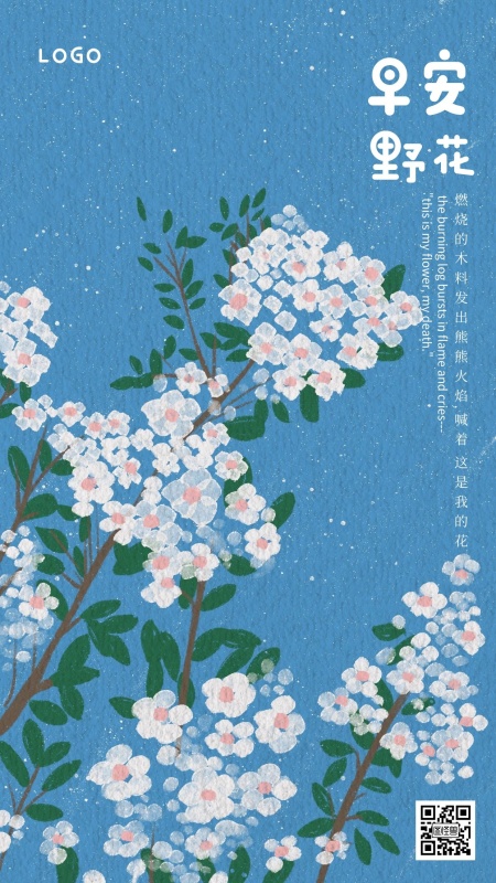 每日一签蓝色野花小白花早安