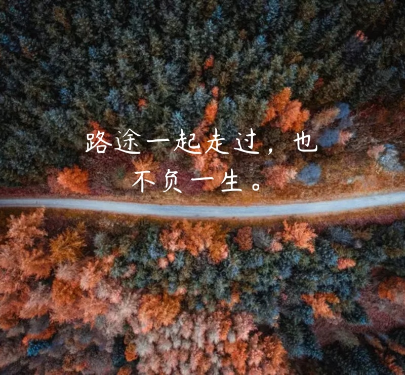 路途一起走过也不负一生朋友圈封面