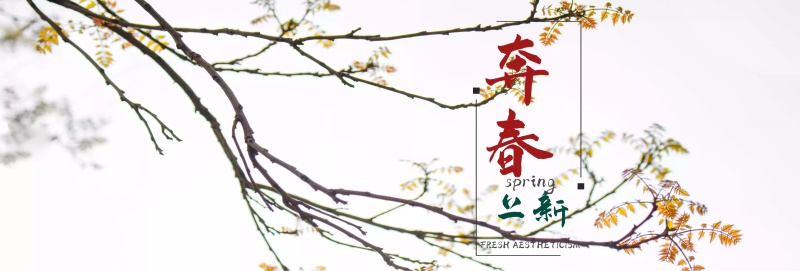 奔春上新海报bannerPSD源文件