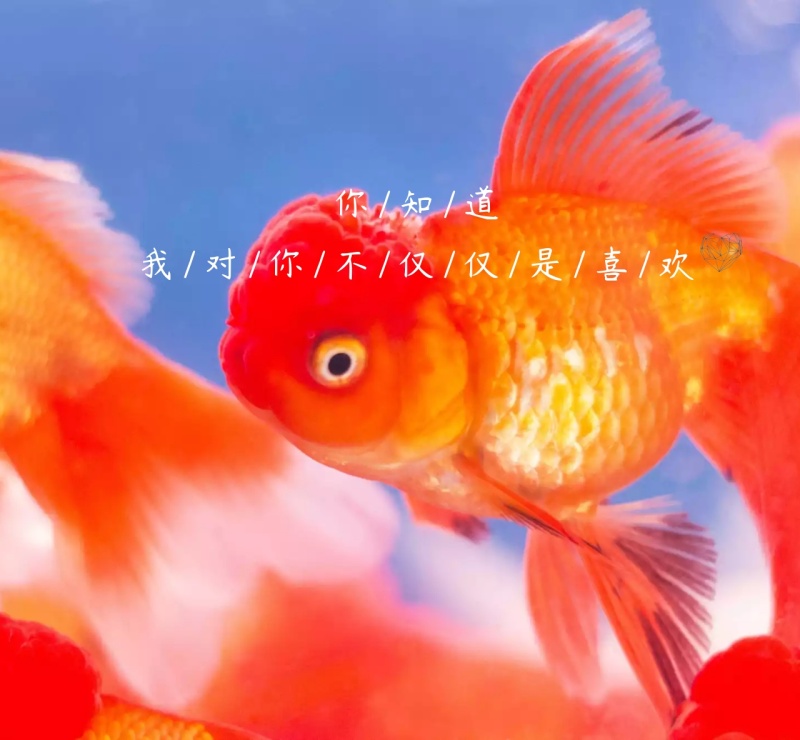 你知道我对你不仅仅是喜欢朋友圈封面