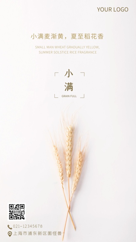传统节气之小满企业手机摄影图海报