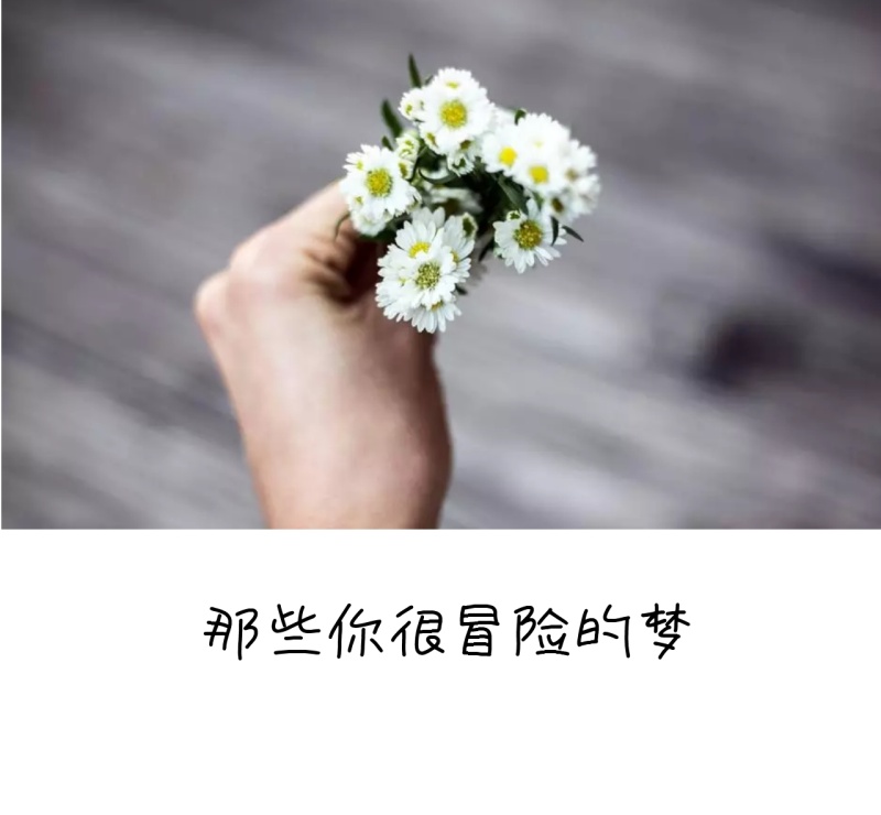 那些你很冒险的梦简约朋友圈封面图