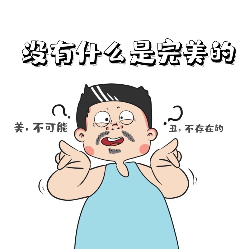 没有什么是完美的表情包