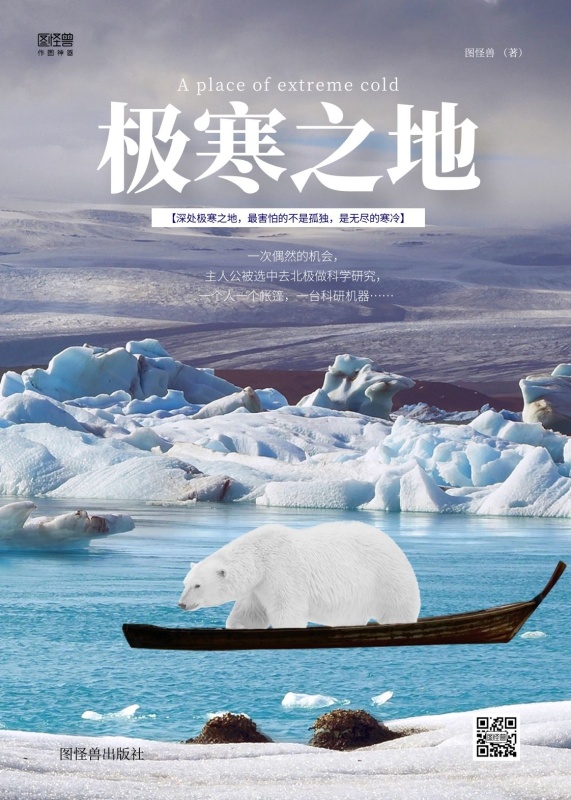 简约北极寒冷北极熊危险极寒之地书籍封面
