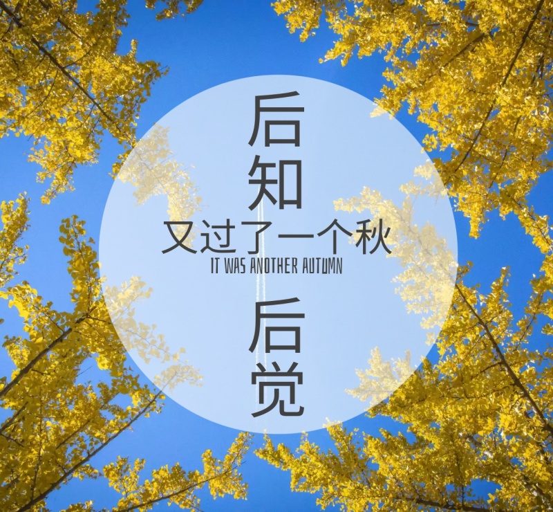 秋天文艺后知后觉朋友圈封面模版