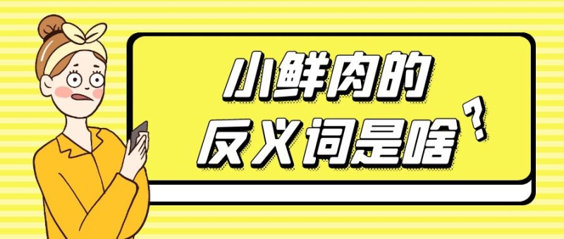 小鲜肉的反义词是什么暖色系幽默公众号首图