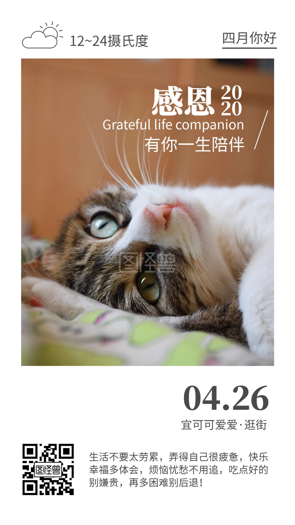 白色简约可爱猫咪动物类早安日签