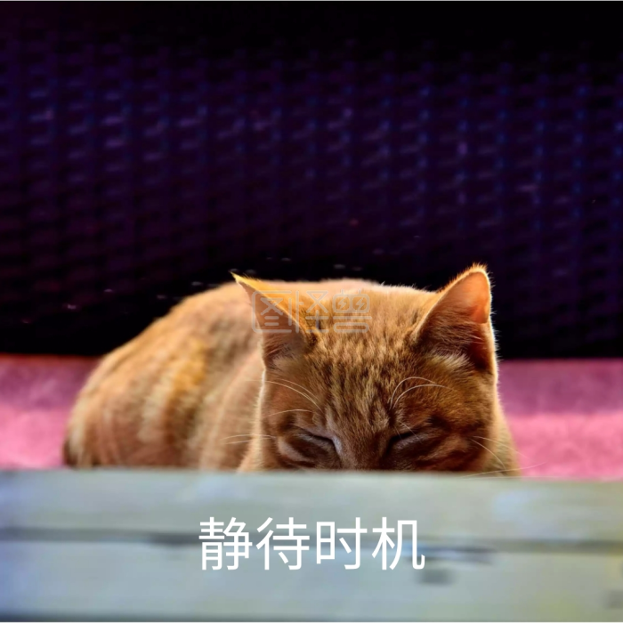 猫星人疑惑我是谁我在哪可爱动态趣味表情表情包怼人的手机图片