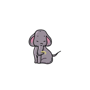 动物