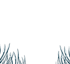 图怪兽原创元素古风雪草