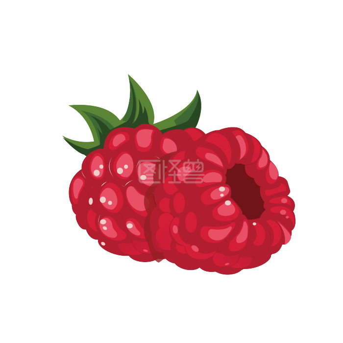 树莓效果图背景素材图片 图怪兽