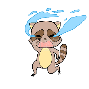 大哭 泪奔 浣熊