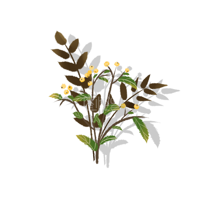 装饰素材植物花朵素材背景素材图片 图怪兽