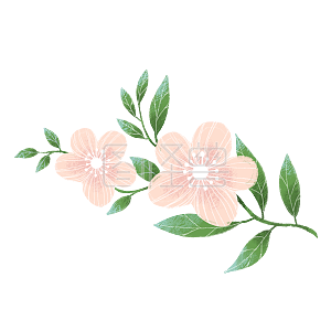 清新水彩素材图片 免费清新水彩png元素大全 图怪兽