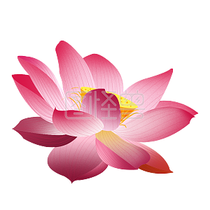 莲花素材图片 免费莲花png元素大全 图怪兽