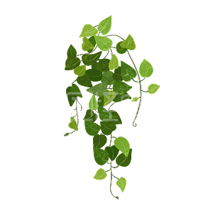 详情卡通柜子花盆绿萝图怪兽原创元素详情图怪兽原创元素肌理