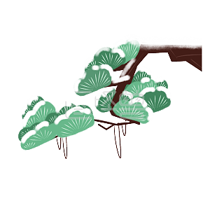 松柏