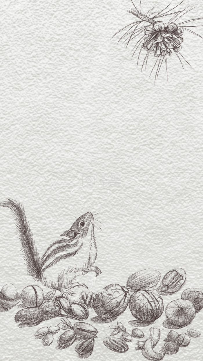 图怪兽原创元素手绘松鼠坚果线描质感背景