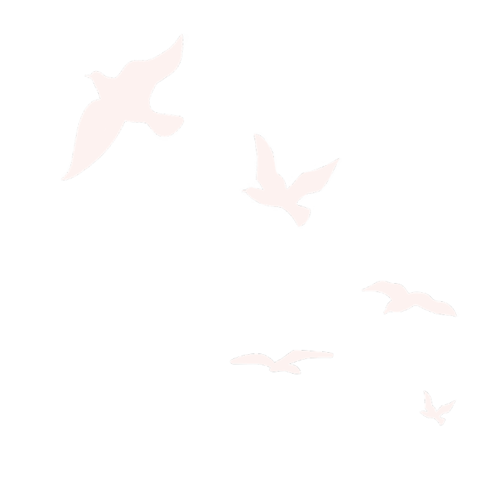 图怪兽原创元素澳门回归20周年一群白鸽元素