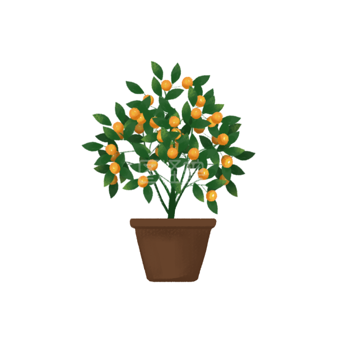 图怪兽原创素材金桔水果橘子树背景素材图片 图怪兽