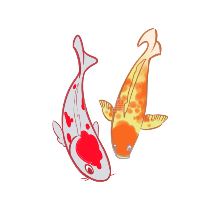 图怪兽锦鲤两只漂亮的小金鱼