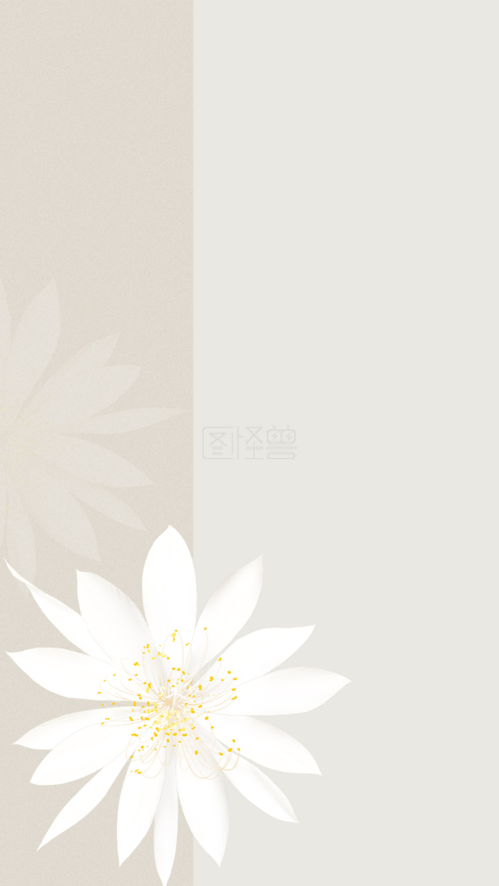 图怪兽原创元素古风白色昙花背景