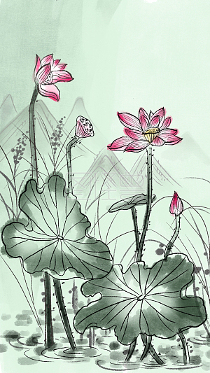 水墨中国风   电商   海报  二十四节气   立夏  夏至  荷花   池塘