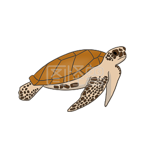 图怪兽原创元素手绘卡通漂浮海龟