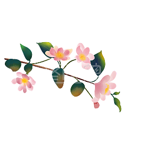 图怪兽原创元素手绘立夏植物海棠插画元素