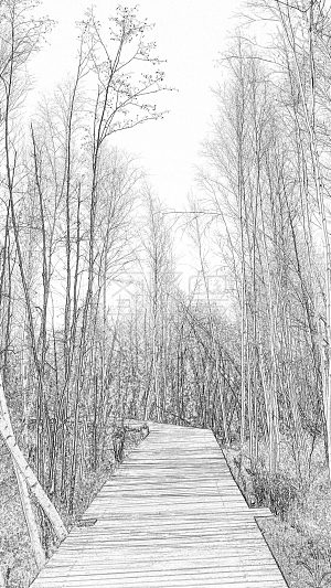素描 艺术 旅游出行 企业宣传 黑白 树林 栈道