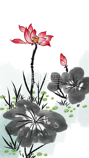 水墨中国风   电商   海报  二十四节气   立夏  夏至  荷花   池塘