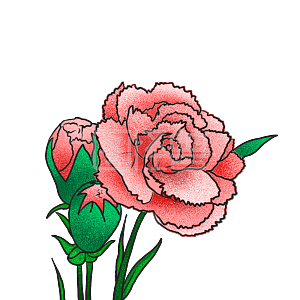 卡通花素材图片 免费卡通花png元素大全 图怪兽