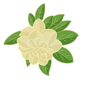 图怪兽原创元素手绘卡通节气芒种花卉茉莉花