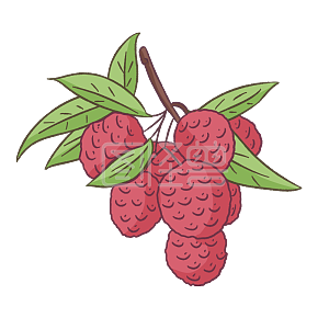 图怪兽原创元素手绘卡通夏至水果荔枝背景素材图片 图怪兽