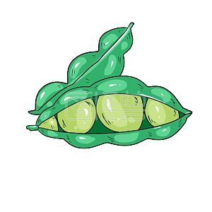 绿豆素材图片-免费绿豆png元素大全-图怪兽