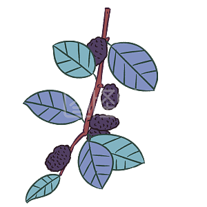 图怪兽原创元素卡通手绘大暑水果桑葚