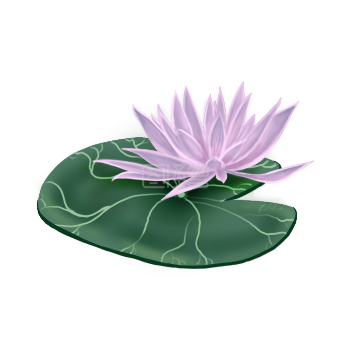 图怪兽原创素材卡通荷花装饰背景素材图片 图怪兽