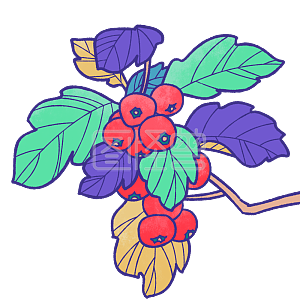 山楂