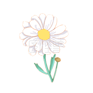 图怪兽原创元素手绘清新处暑白色小雏菊