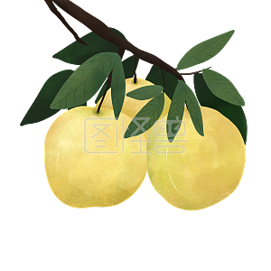 黄色素材图片 免费黄色png元素大全 图怪兽