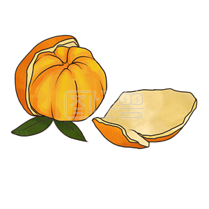 Beplay3体育iso下载原创元素海报商业宣传传媒背景素材电商节日夏季水果质感小清新橙黄色橘子 背景素材图片 Beplay3体育iso下载