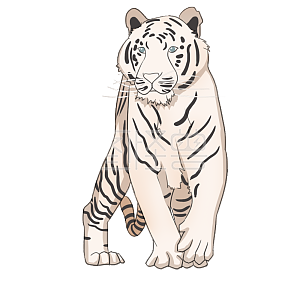 老虎素材图片 免费老虎png元素大全 图怪兽