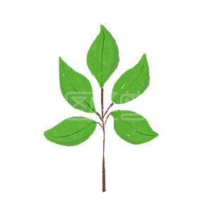 無料ダウンロード 植物背景 最も人気のあるhd壁紙コレクション 無料ダウンロード 植物背景 最も人気のあるhd壁紙コレクション