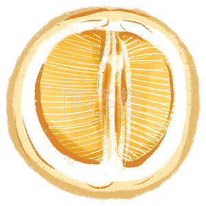 节日   中秋    水果    时令水果     黄色   柚子详情扁平