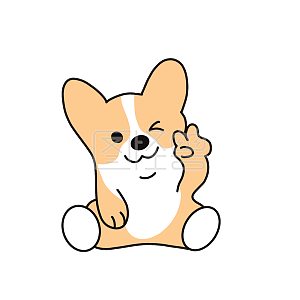 表情包 表情 狗狗 柯基 笑 哭 睡觉