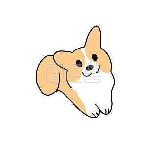 表情包 表情 狗狗 柯基 笑 哭 睡觉