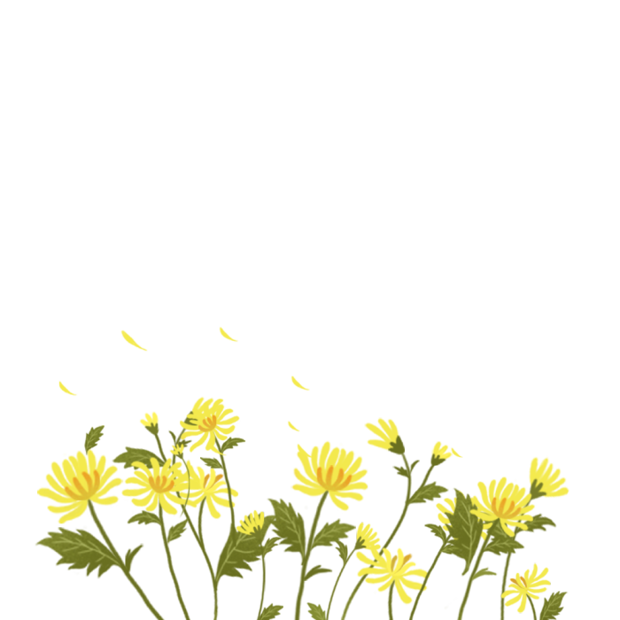 图怪兽原创元素重阳节菊花素材背景素材图片 图怪兽