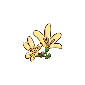 中秋节卡通风桂花