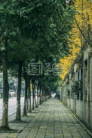 小道背景图片-小道素材设计-图怪兽