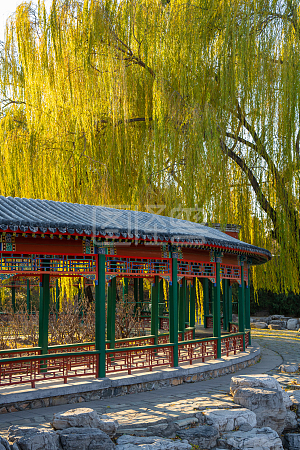 图怪兽摄影图素材 阳光下公园里长廊